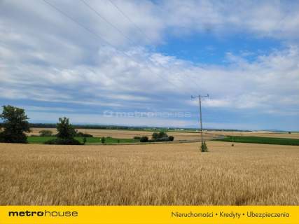 Działka siedliskowa Piława, Mietków pow. 9 030 m2