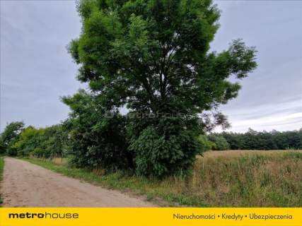 Piękna działka 6941 m.kw. we wsi Bubel-Łukowiska