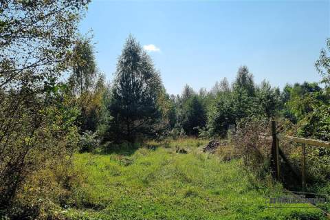 Duże działki w Krosinie, ok. 60 km od morza.