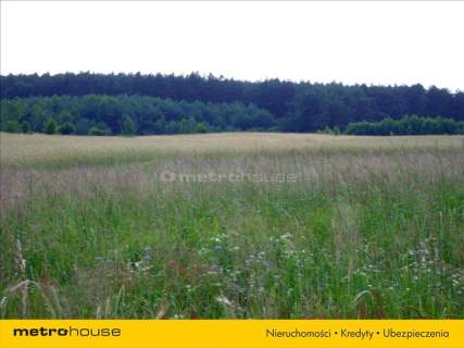 Działka rolna na sprzedaż, 21392 m2, Polska Wieś