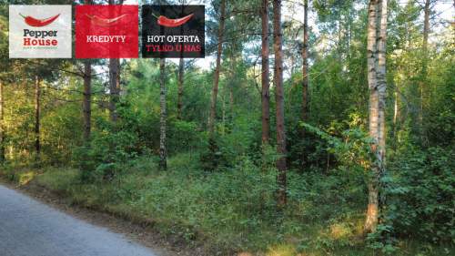 DZIAŁKA ROLNA W SPOKOJNEJ OKOLICY 2000M2
