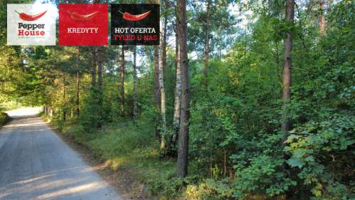 DZIAŁKA ROLNA W SPOKOJNEJ OKOLICY 2000M2
