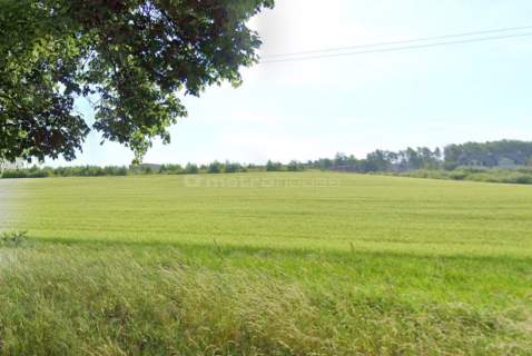 DZIAŁKA POD ZABUDOWĘ WIELORODZINNĄ, CZERWONAK