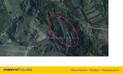 11 HA DZIAŁKA POD INWESTYCJĘ W WOJCIECHOWICACH