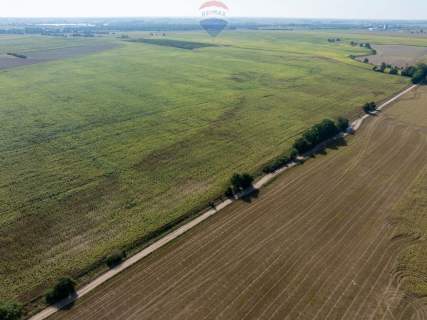 Inwestycyjna rolna działka Łubowice obok Poznania