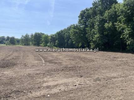 Ostatnia działka budowlana Skrzyszów