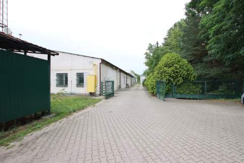 Magazyn na sprzedaż, 1883 m2, Dmosin
