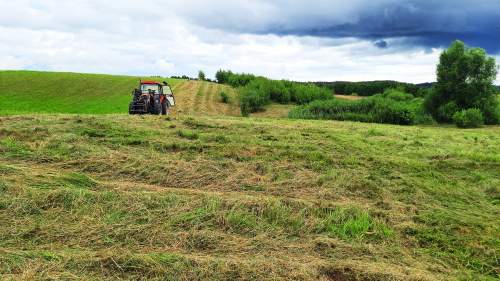 Działka z Warunkami Zabudowy 22,45 ha Żabin, gm. Banie Mazurskie