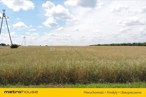 DLA DEVELOPERA 7,3 Ha Mrowino, Rokietnica, Poznań
