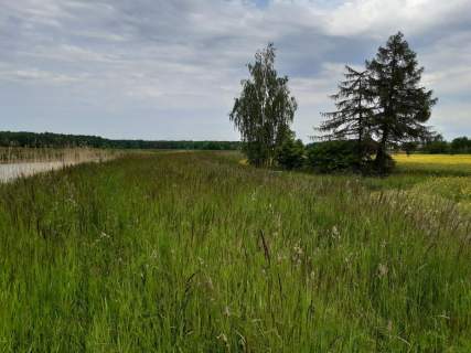 Działka z linią brzegową rzeki.