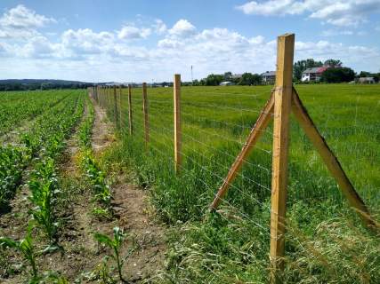Działki budowlane na sprzedaż Krzywa gm. Chojnów