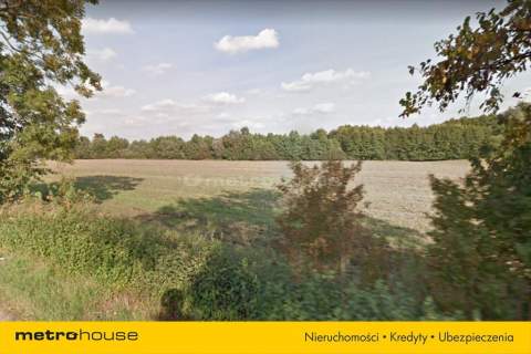 TEREN BUDOWLANY, BLISKO JEZIORO ROGOZIŃSKIE,