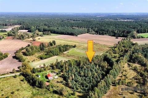 Duże działki w Krosinie, ok. 60 km od morza.