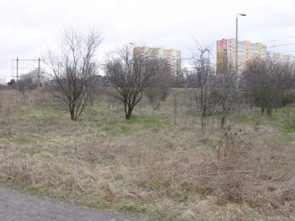 Pod działalność w centrum Wejherowa