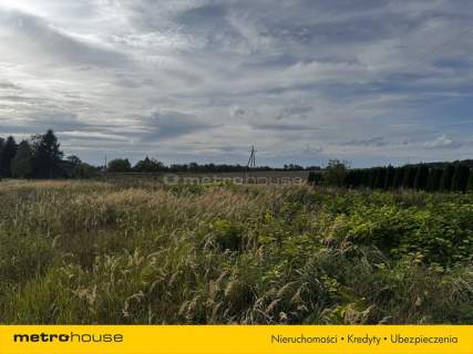 Działka na sprzedaż, 6100 m2, Czernin