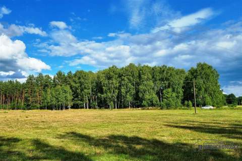 Działki budowlane położone pod lasem.