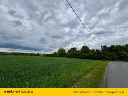 Spokój, przestrzeń i brak sąsiadów 