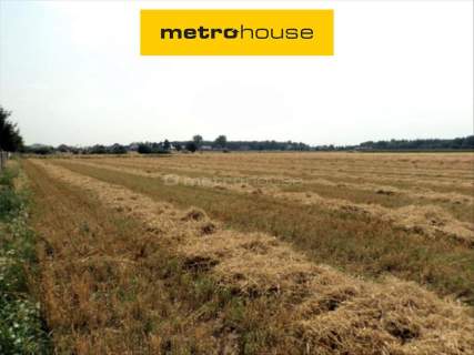 DLA DEVELOPERA 7,3 Ha Mrowino, Rokietnica, Poznań