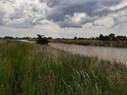 Działka z linią brzegową rzeki.