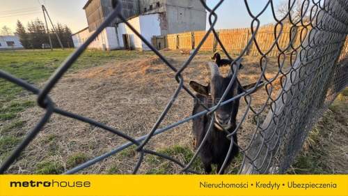 Działka rekreacyjno- budowlana ok 12 km od morza.