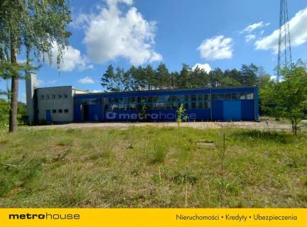 Lokal użytkowy na sprzedaż, 4492 m2, Knurowiec