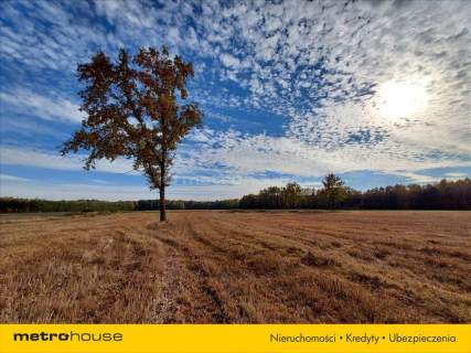 Malownicza działka siedliskowa z lasem