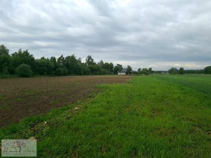 Działka budowlana na sprzedaż, 1240 m2, Feliksów