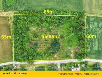 Działka siedliskowo-rolna I 5600m2 I Kaczyce I 56a