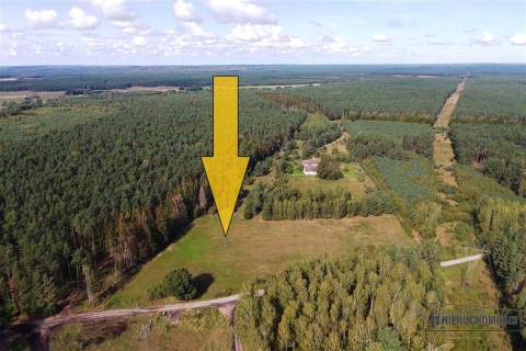 Dwie działki budowlane położone pod lasem.