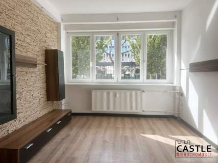 3-pokojowe mieszkanie w centrum Poznania-wynajem