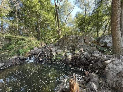 Twoja oaza natury z potencjałem   Stawno, 2,92 ha 