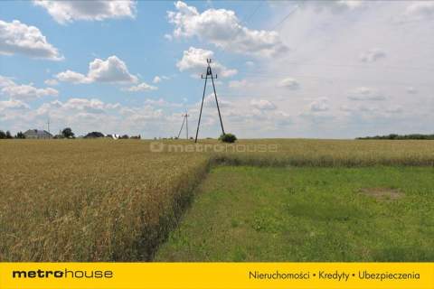 DLA DEVELOPERA 7,3 Ha Mrowino, Rokietnica, Poznań