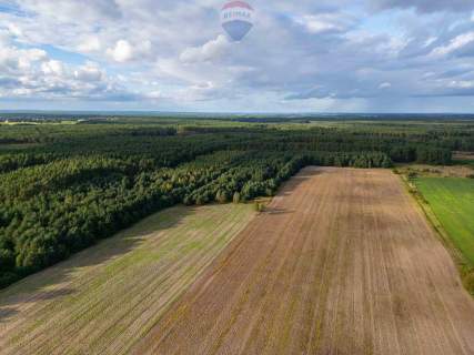 Działka rolna Jędrzejewo