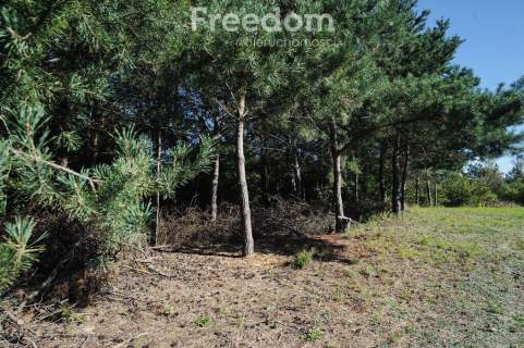 Łazieniec działka z planem i możliwością podziału