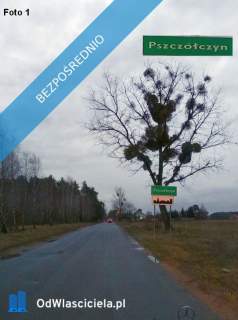 Sprzedam działki w Sosnowcu Wielkim k/Rynarzewa