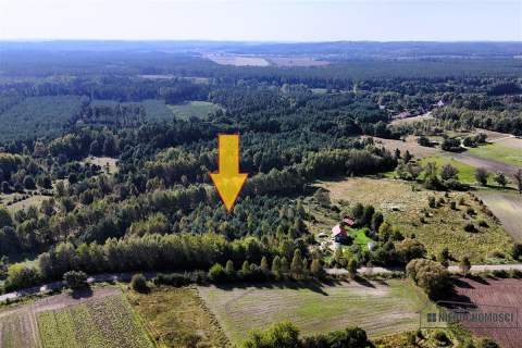 Duże działki w Krosinie, ok. 60 km od morza.
