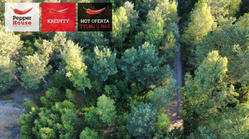 DZIAŁKA ROLNA W SPOKOJNEJ OKOLICY 2000M2