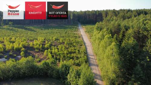 DZIAŁKA ROLNA W SPOKOJNEJ OKOLICY 2000M2