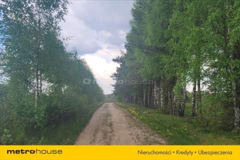 Kaszuby-działka budowlana w otoczeniu przyrody.