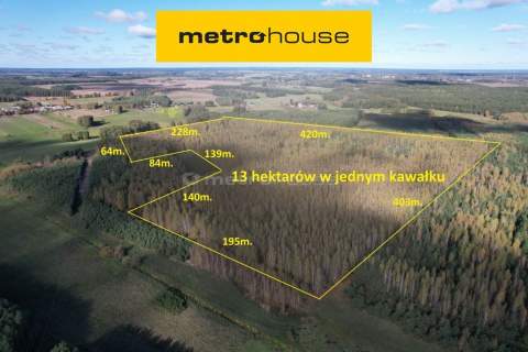Las 13ha, duży areał w jednym kawałku - Klonownica
