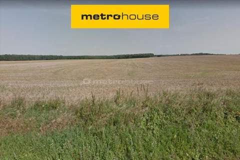 TEREN ROLNY, PRZEZNACZENIE BUDOWLANE, DOPIEWO,