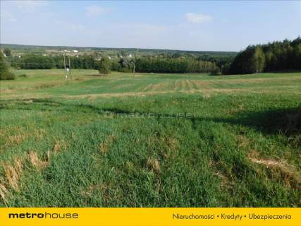 Ciechocin, 4 ha ziemi z malowniczym widokiem