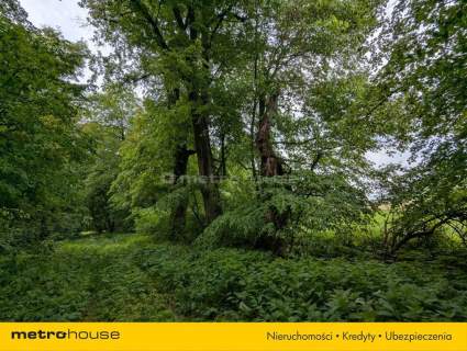 Zabytkowy Park Pałacowy/Dworski z XIX w. - 7.27ha