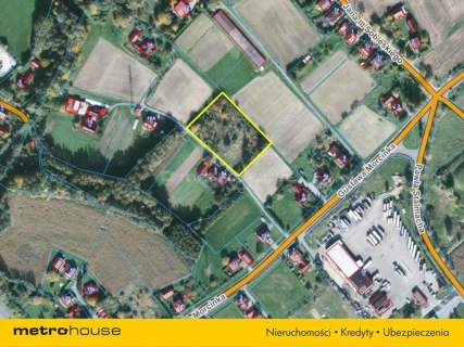 Działka siedliskowo-rolna I 5600m2 I Kaczyce I 56a