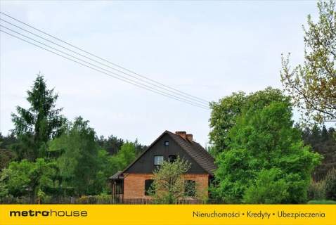 Działka siedliskowa na sprzedaż, 9500 m2, Pąchy
