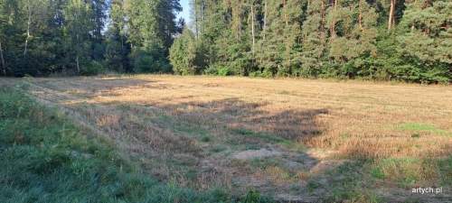 Działka budowlana na sprzedaż, 4800 m2, Wiechetki Małe