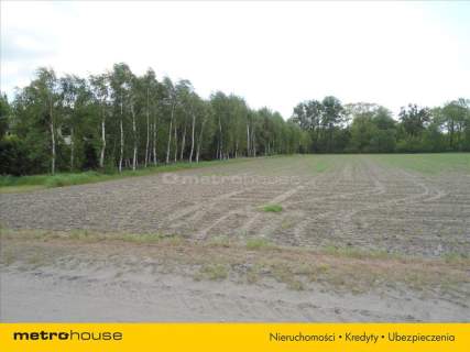 TEREN POD ZABUDOWĘ JEDNORODZINNĄ , WZ, LUCINY