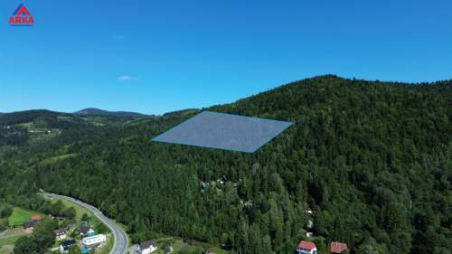 2ha starego lasu w jednym kawałku