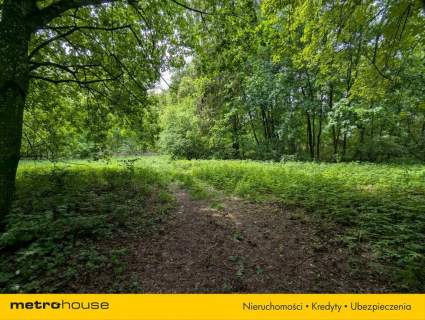 Zabytkowy Park Pałacowy/Dworski z XIX w. - 7.27ha