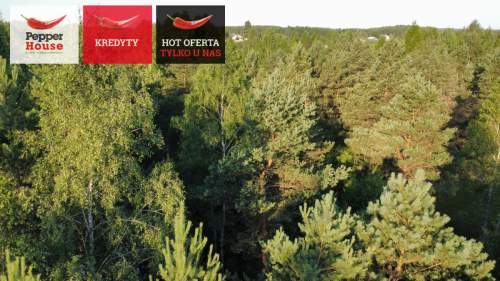 DZIAŁKA ROLNA W SPOKOJNEJ OKOLICY 2000M2